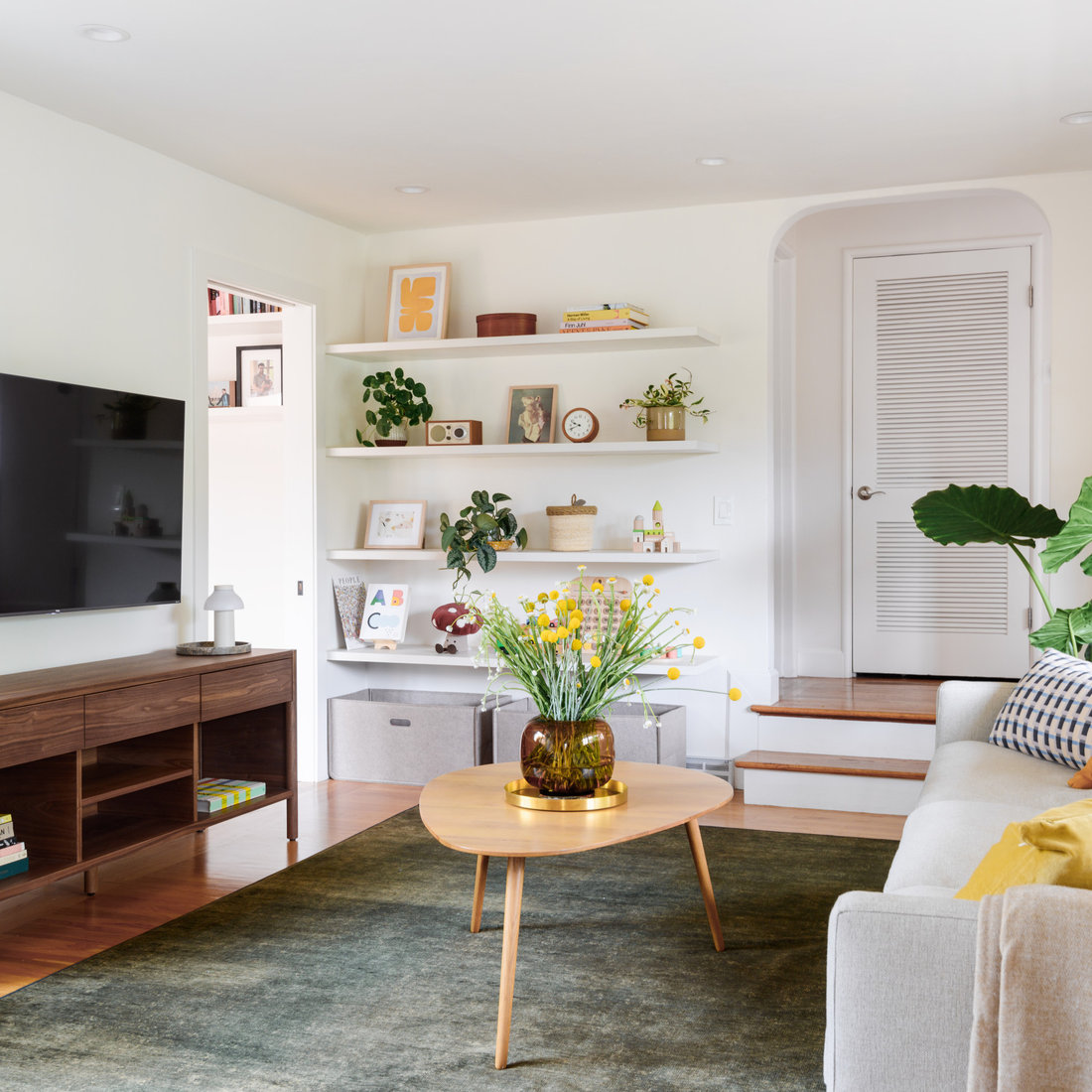 Albany Renovation