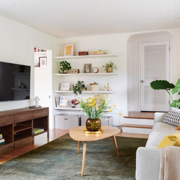 Albany Renovation