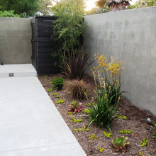 yard ideas