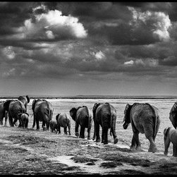 Laurent Baheux - Products