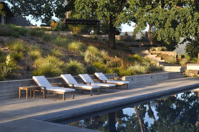 Example of a minimalist pool design in San Francisco