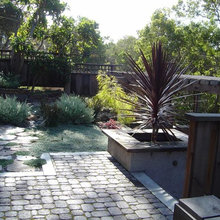 Ground Cover