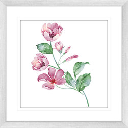 Flora and Fauna Collection - Framed Art Prints (FAUN11) - Artwork