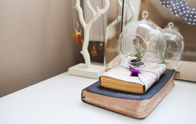 10 Ways to Place Air Plants Around the Home