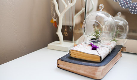 10 Ways to Place Air Plants Around the Home