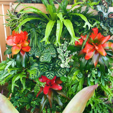 Tropical Landscape Design