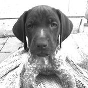 Clayton Stump's photo