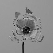 Douglas Merrill's photo