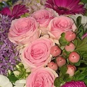 Sandrine Derouin's photo