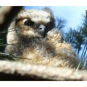 Gail Reilly's photo