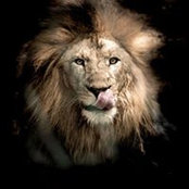 Rachna Shankar's photo