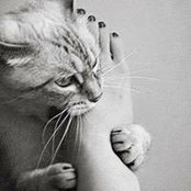 Photo de Cindy Carey