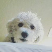 Foto de Sandy Kessler
