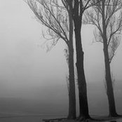 Ruba AR's photo
