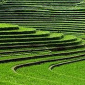 Rajaram Adhikari's photo