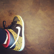 Alexana Lambros's photo