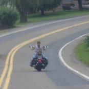 Sherry DeHart's photo