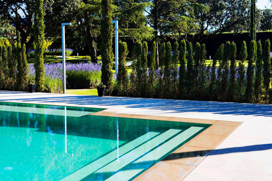 El color de mi piscina