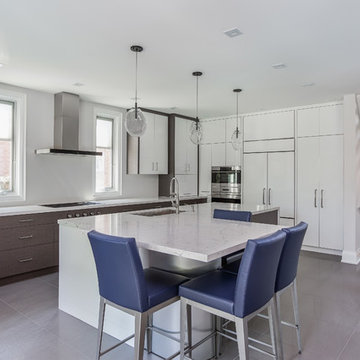 Alta Vista Project