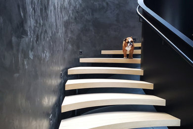 ソルトレイクシティにあるコンテンポラリースタイルのおしゃれな階段の写真