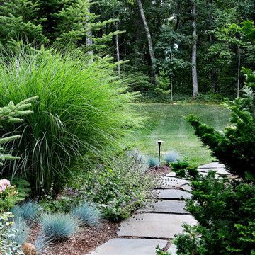 Evergreen Grove