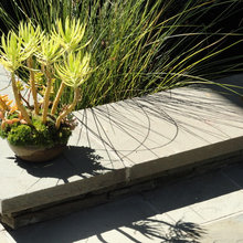 Container garden