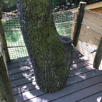 Alamo Treehouse #2