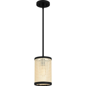 1 Light Mini Pendant In Coastal Style-10.25 Inches Tall and 6 Inches Wide-Matte