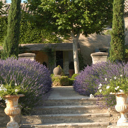 Limestone Planters - Outdoor Pots And Planters