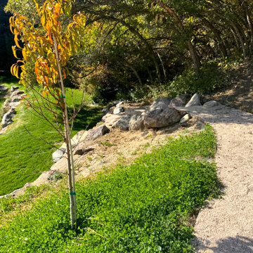 Mountain Meadow Garden