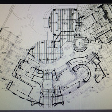 Engineer's framing plan