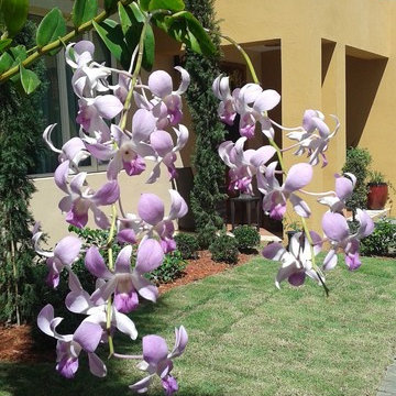 Couple’s dream Mediterranean landscape fulfilled