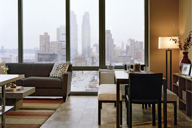 Living room - modern living room idea in New York