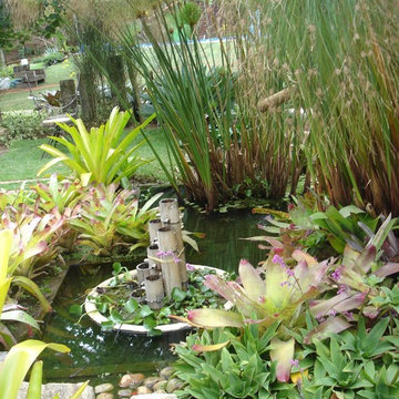 Water garden