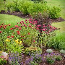 lisa_johnson5547's Ideas
