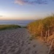 Caitlin Reilly's photo