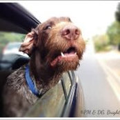 Deborah Bright's photo