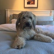 Hadley Westville's photo