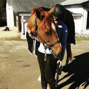 Jaclyn Harris's photo