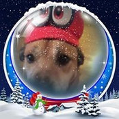 Debbie Wareham's photo