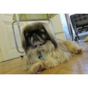 Isabell Wurglits's photo
