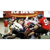 Brandon Bices billede