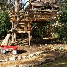 Tree Houses