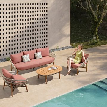 2024 new release - The VASCA collection