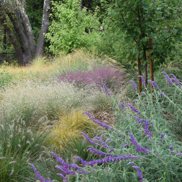 Movement in the landscape: ornamental grasses