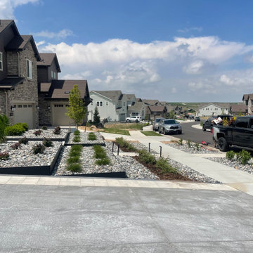 Xeriscape Haven - Castle Pines, CO