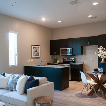 McKellips Model Condo