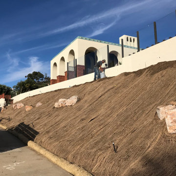 Slope Planting