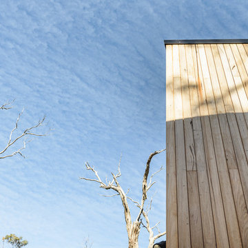https://joshcrosbie.com.au/yellowgums