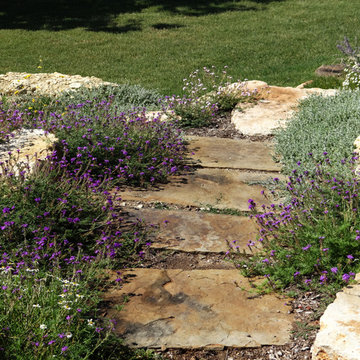 Native Landscape